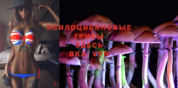 МДПВ Мегион