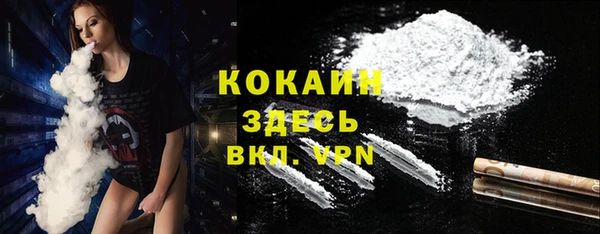 МДПВ Мегион