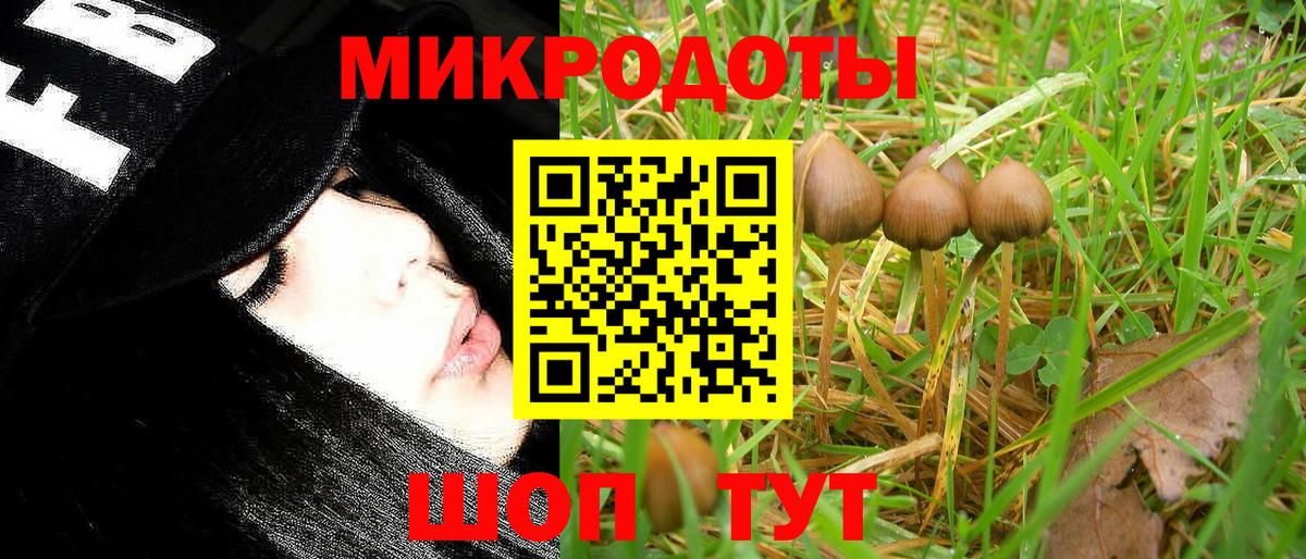 Ковров  как найти   Вход с VPN  Галлюциногенные грибы ЛСД 